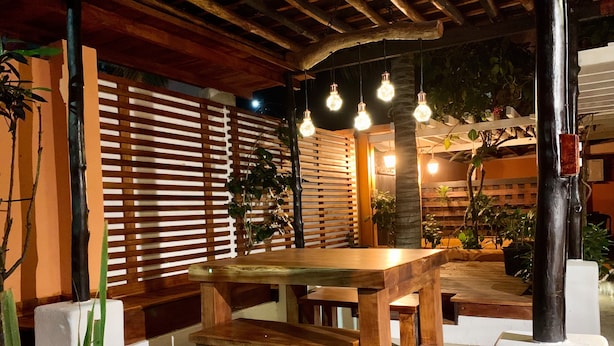 An outdoor patio with a wooden table and benches, surrounded by plants and a wooden fence.