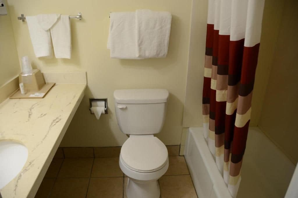A bathroom with a toilet, a sink, and a shower curtain.