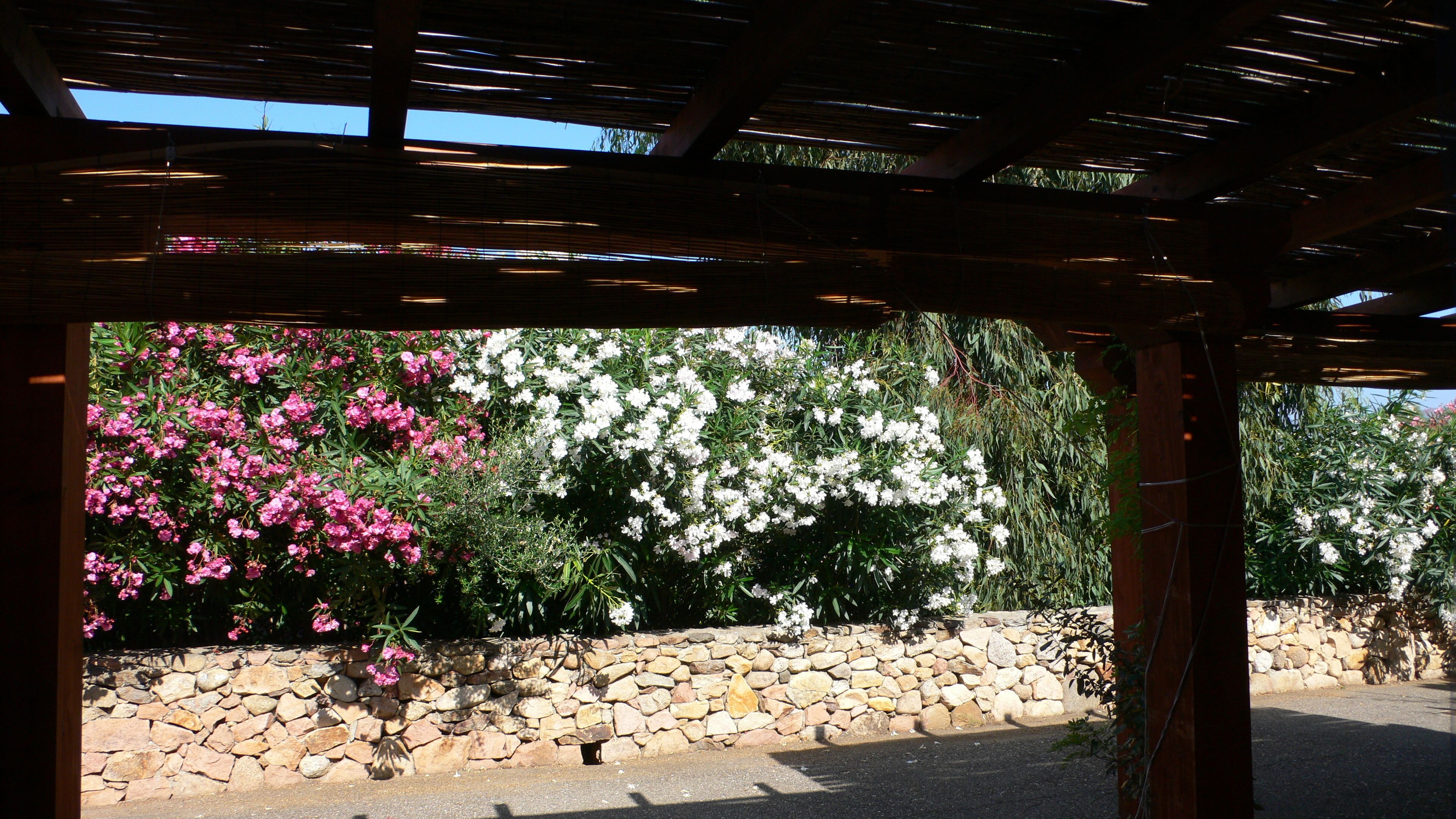 La Canna Birdwatching