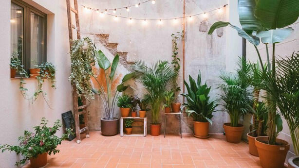 Un patio con baldosas de terracota, plantas en macetas, una escalera de madera y luces colgantes.