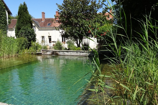 Una piscina al aire libre, sillones reclinables de piscina