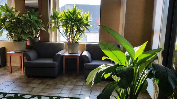 Entrada interior