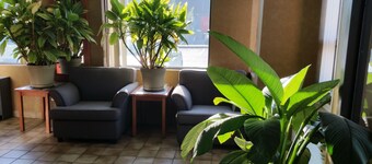 Avenue Motel