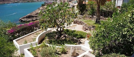 Jardín
