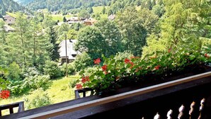 Une vue depuis un balcon donnant sur une vallée verdoyante, avec des maisons et une forêt dense.