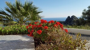 Un jardín con flores rojas y una palmera, un sendero de piedra y vistas al mar.