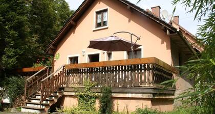 Retraite en forĂȘt dans les Vosges