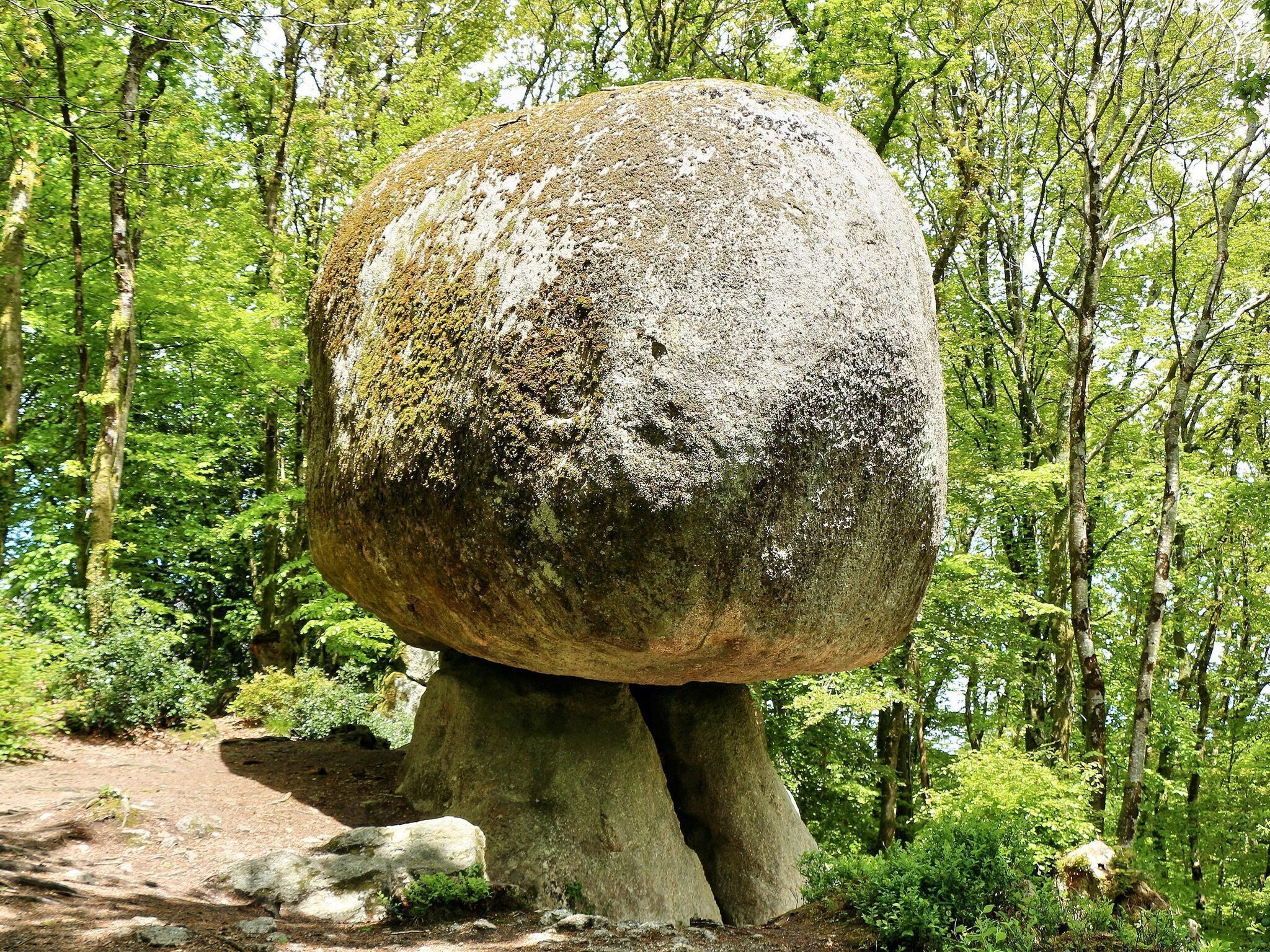 Suuri kivi oli tasapainossa puun kannon p äällä metsässä.