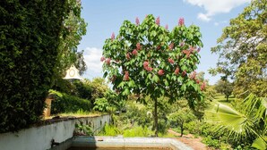 Un jardin avec un petit étang, une végétation luxuriante et un bâtiment en arrière-plan.