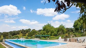Une piscine rectangulaire bordée d’une terrasse en pierre, entourée de verdure et d’arbres.