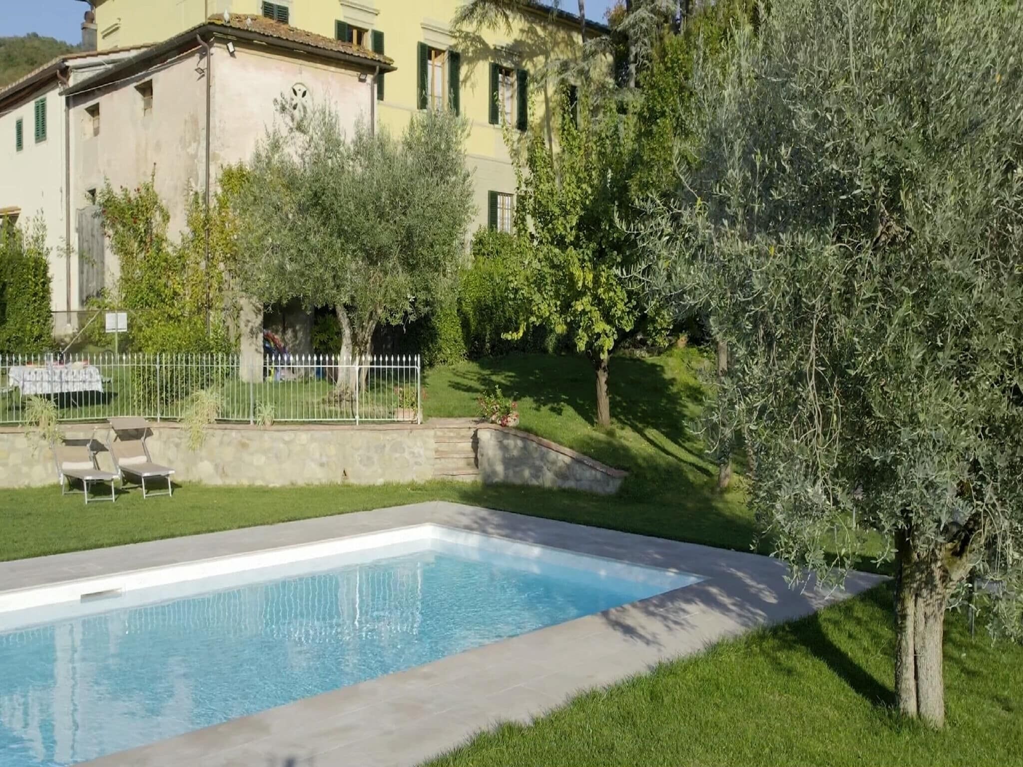 Une piscine dotée d’une plage en pierre, entourée d’une pelouse bien entretenue et d’oliviers.