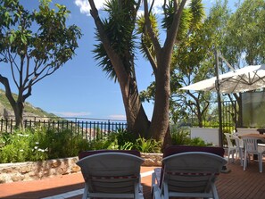 テラス / パティオ