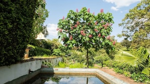 Un jardin avec un petit étang, une végétation luxuriante et un arbre aux fleurs roses.