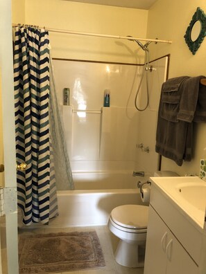 Et badeværelse med bruser, toilet og håndvask.