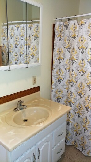 Basic Apartment, 2 Bedrooms, Non Smoking, Mountain View | Bathroom | Free toiletries, hair dryer, towels, soap - Bird Creek Motel (Indian)