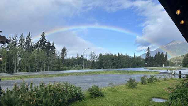 A parking lot with a view of a forest and mountains. - Bird Creek Motel (Indian)