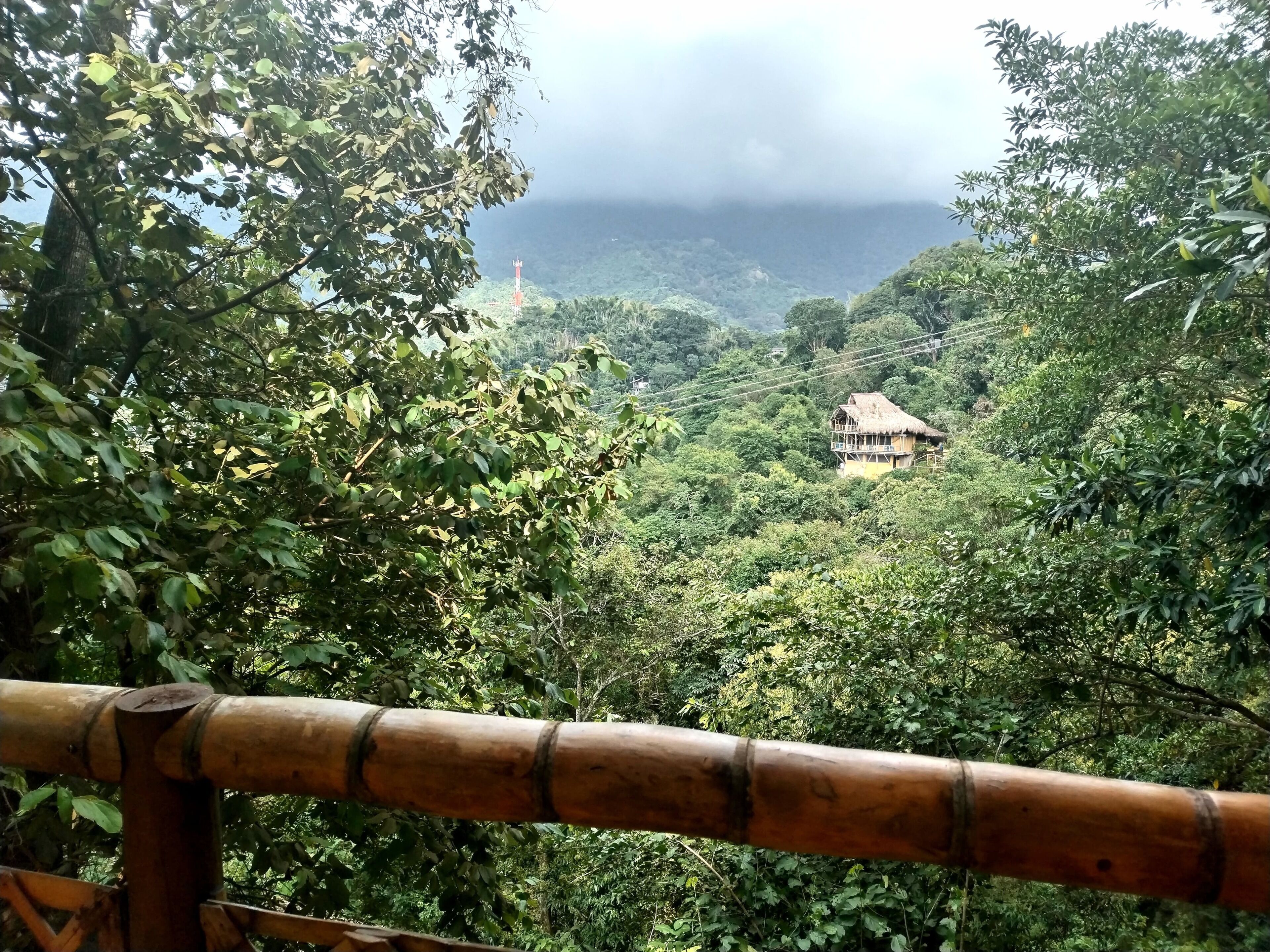A lush green landscape with a thatched-roof house surrounded by dense foliage.