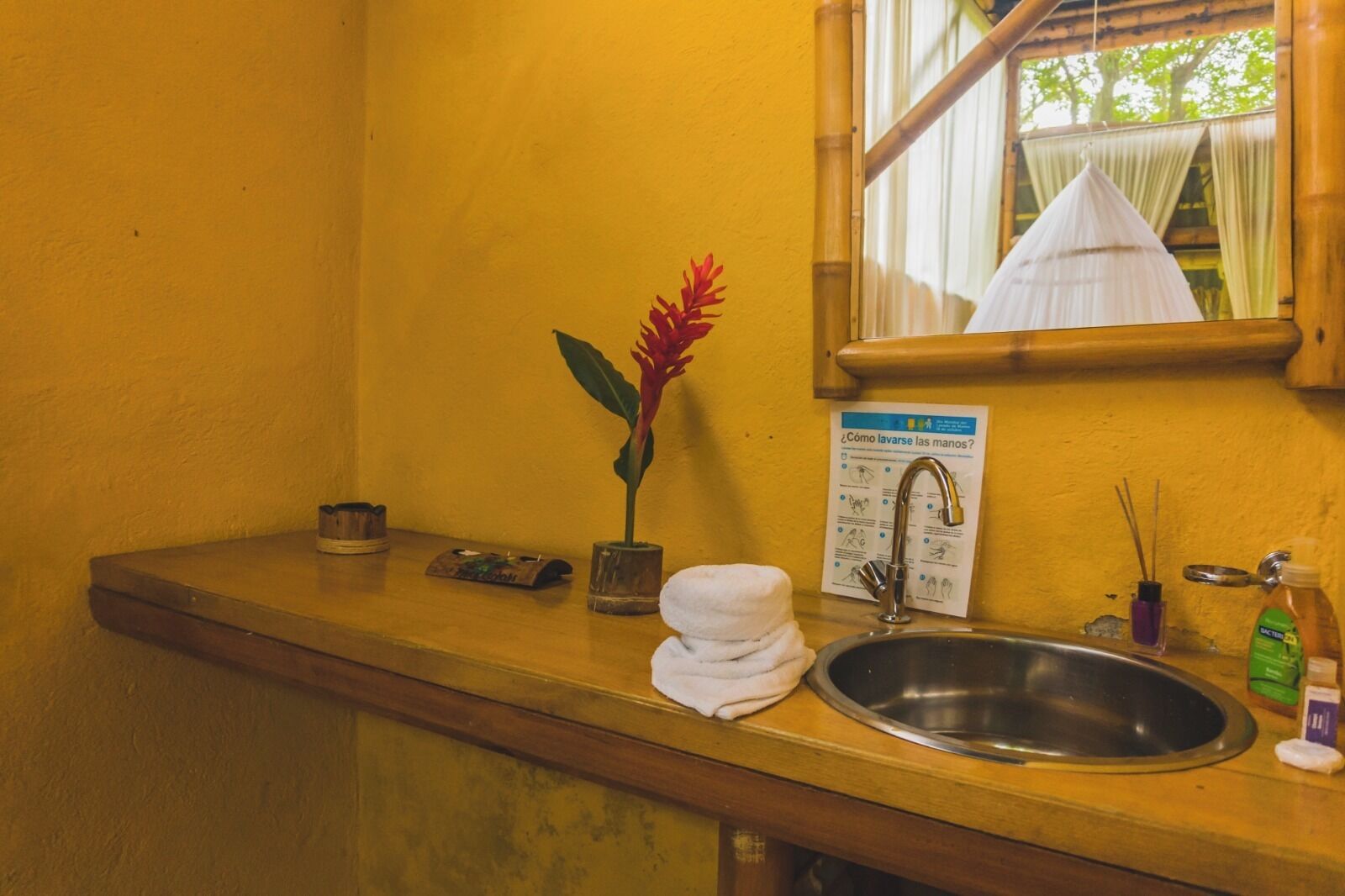 A bathroom with a wooden counter, a sink, a mirror, a potted plant, a towel, and a handwashing instruction sign.