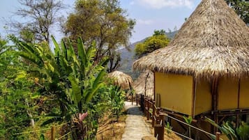 Ecohab | 迷你吧、床單
