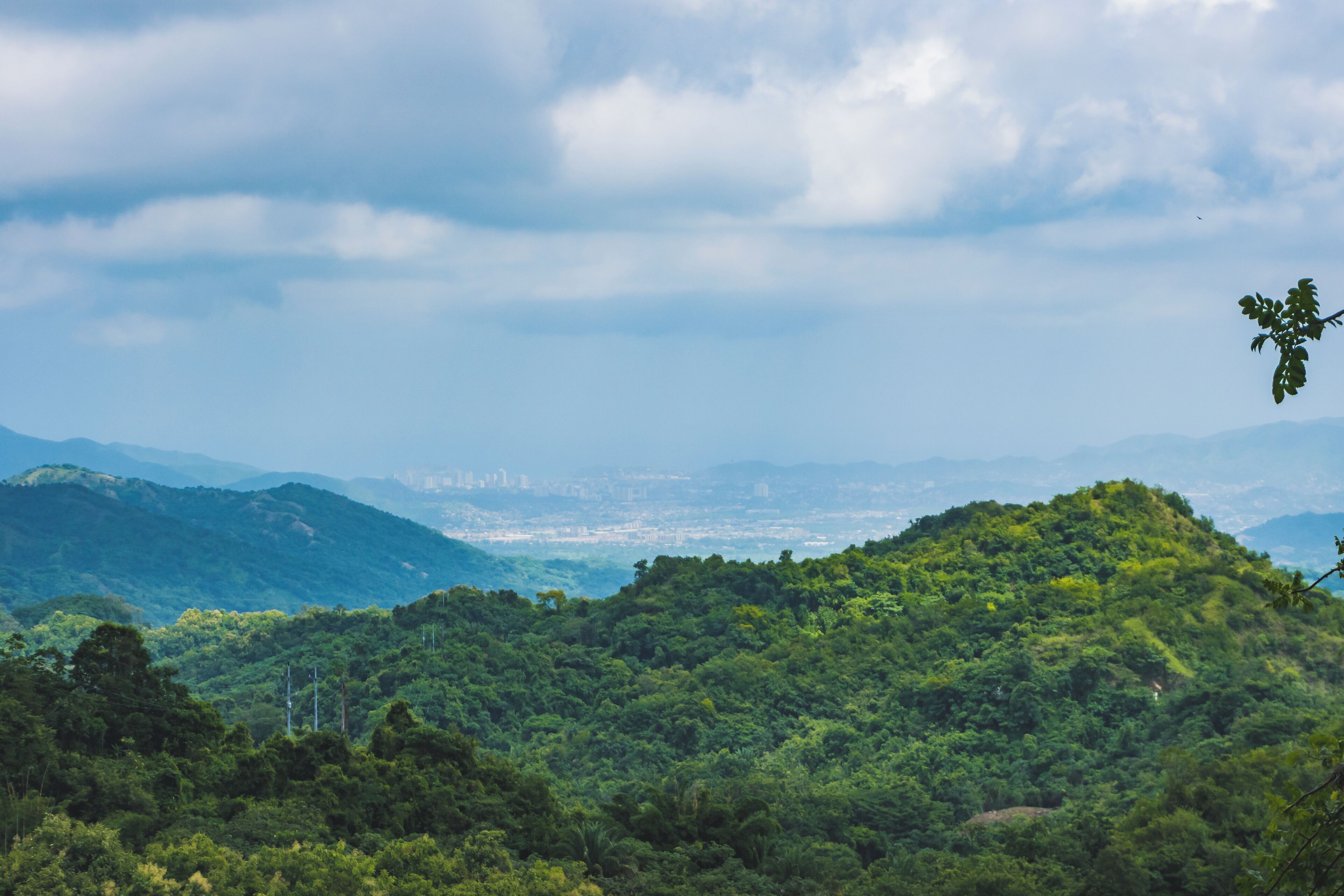 A lush green landscape with a hill and a distant view of a city.