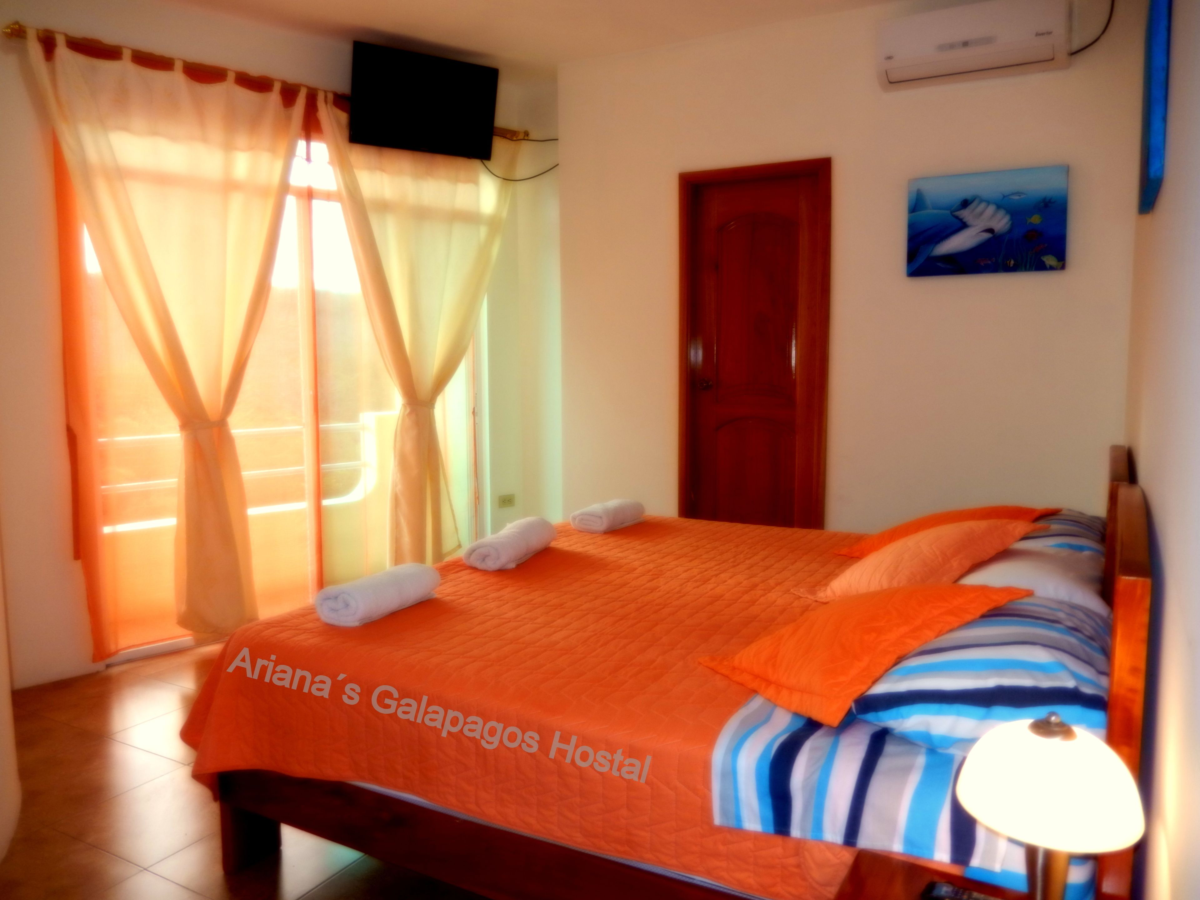 Una habitación con una cama, un televisor montado en la pared, una puerta y un cuadro.