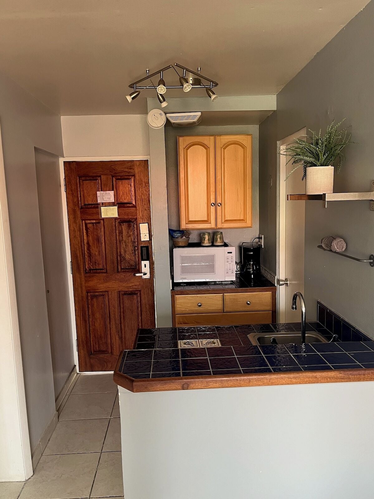 deluxe suite, multiple beds, kitchenette, courtyard view | private kitchen | microwave, coffee/tea maker