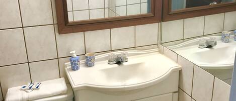 A bathroom with a toilet, a sink, and a mirror.