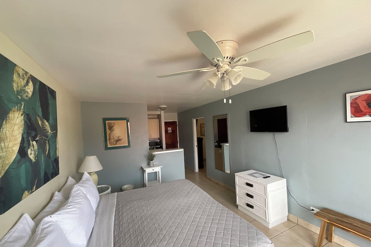 Una habitación de hotel con cama, ventilador de techo, televisión y escritorio.