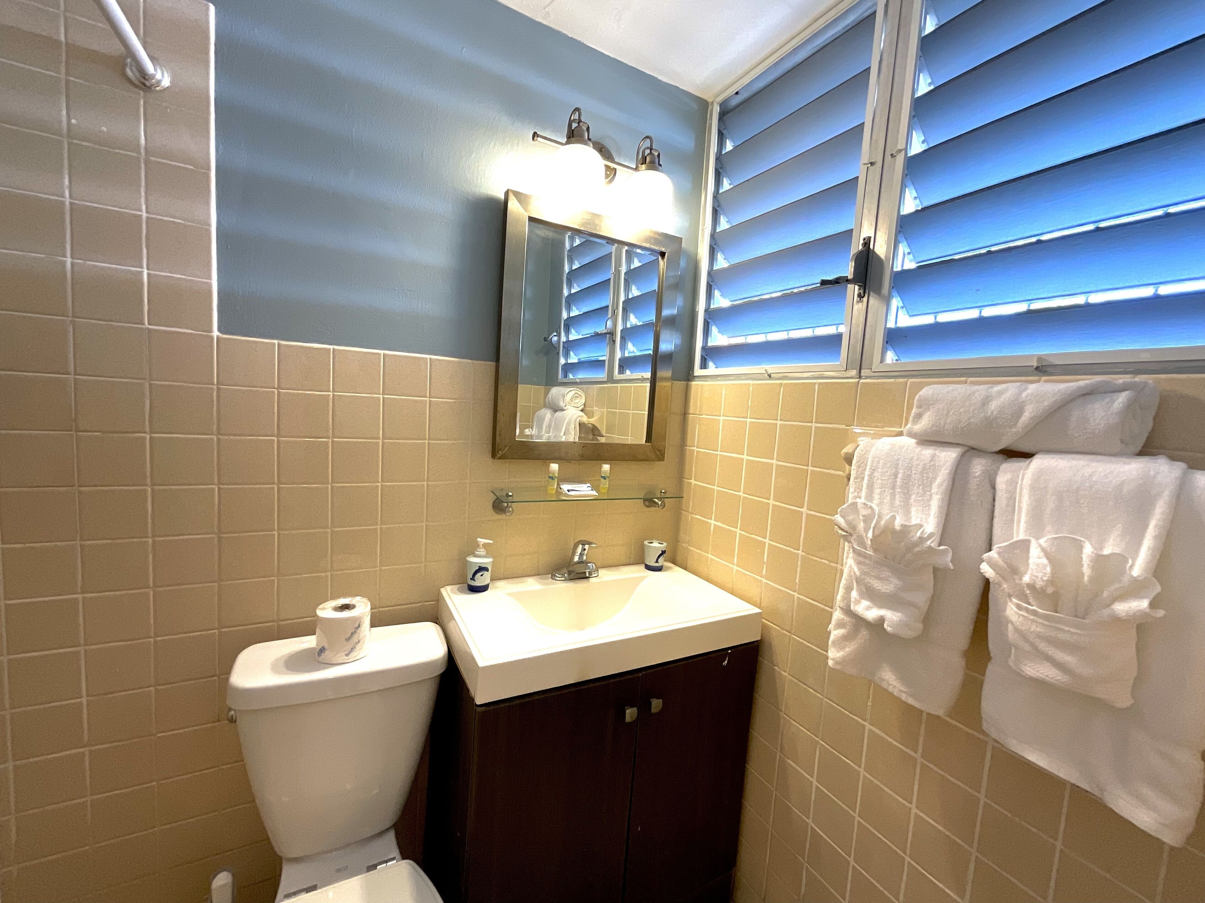 courtyard queen | bathroom | shower, free toiletries, hair dryer, towels