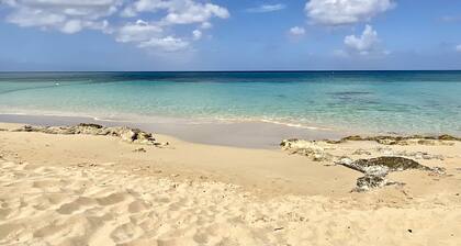 The Frederiksted Hotel