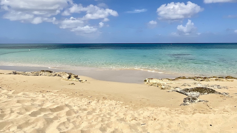 The Frederiksted Hotel