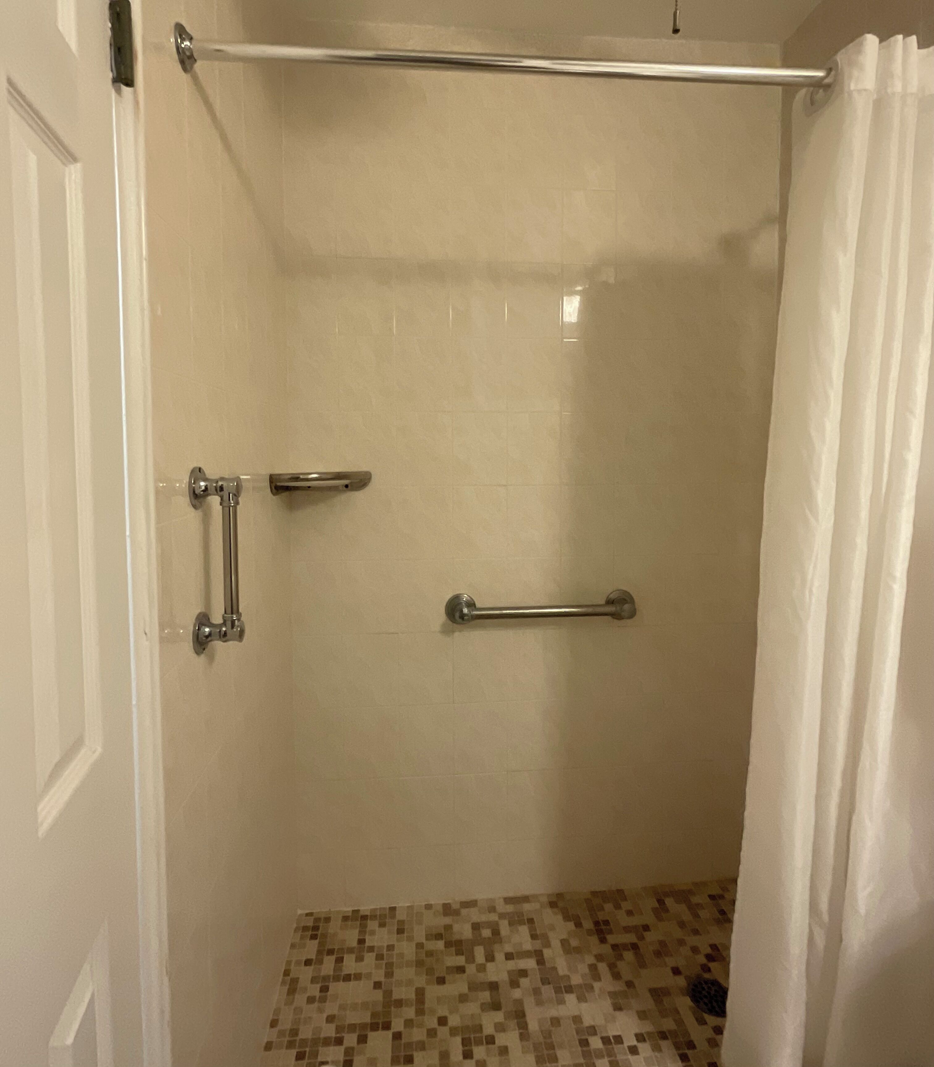 Business Suite, 1 King Bed, Kitchen, Courtyard View | Bathroom