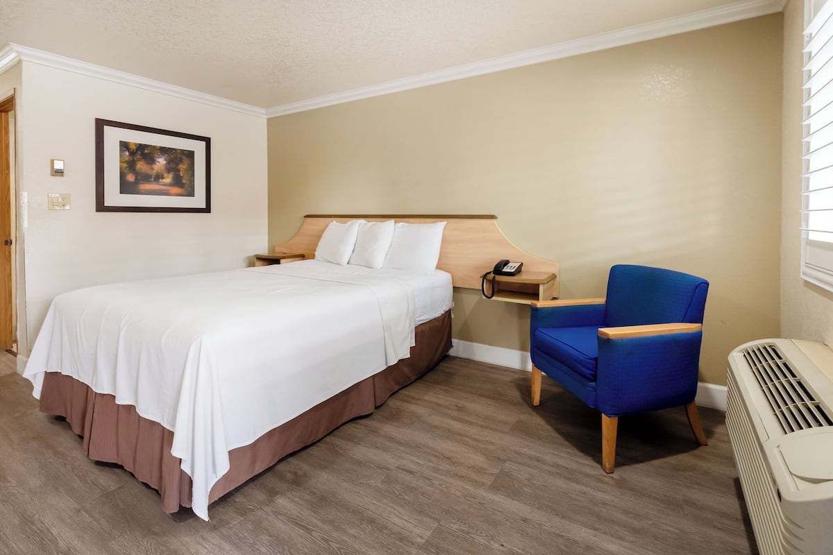A hotel room with a bed, a chair, a bedside table with a phone, and a wall-mounted picture.