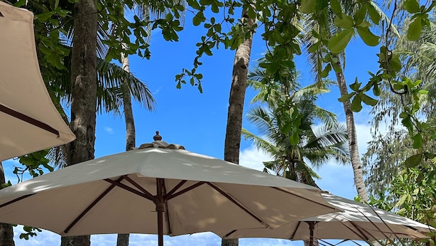 Una playa con sillas de descanso y sombrillas, palmeras y una vista despejada del océano.