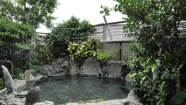 A stone-walled hot spring surrounded by rocks and greenery. - Ryokan Kichiman (Kochi)