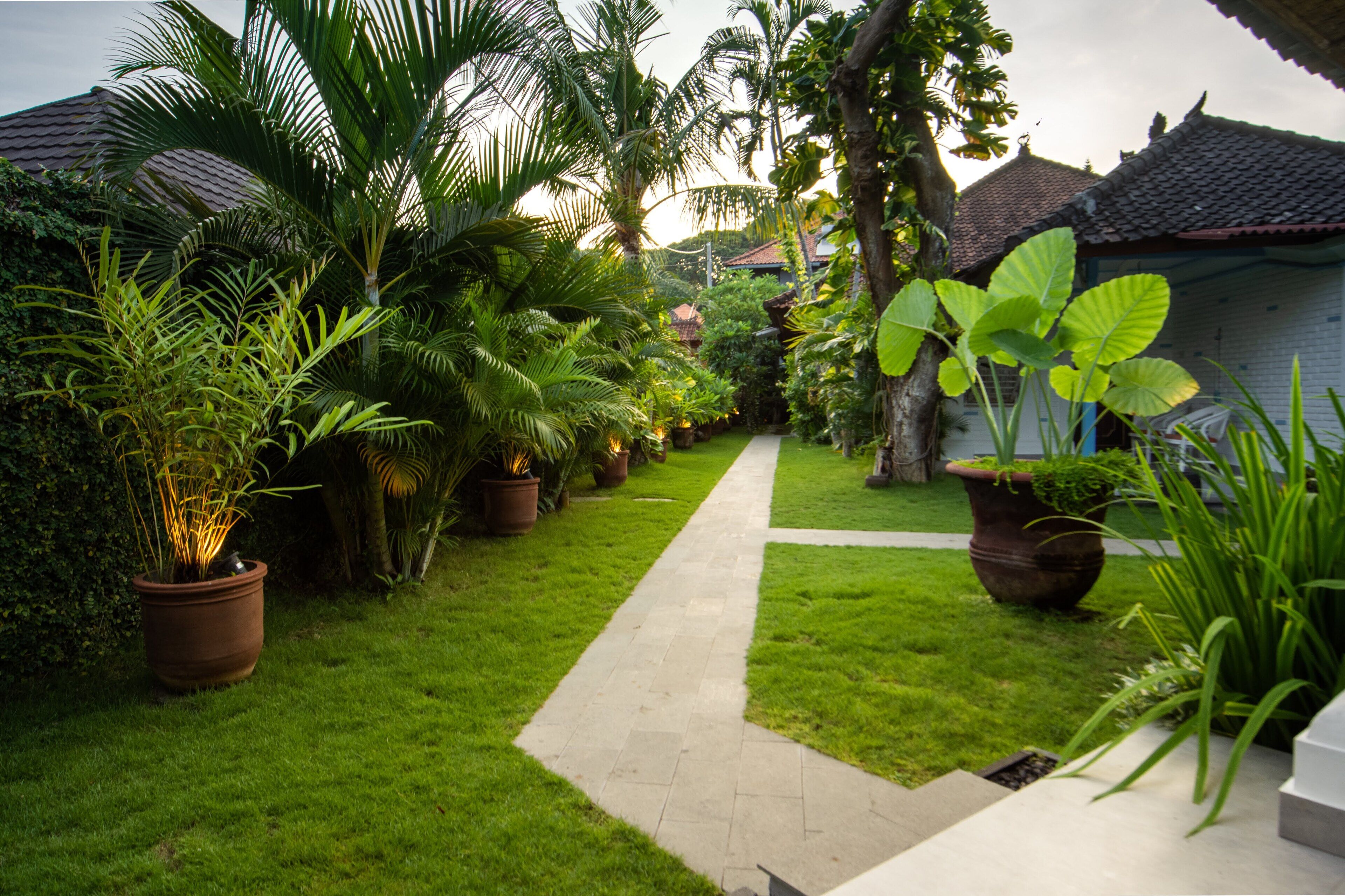 A pathway leading through a lush garden with potted plants and a traditional house with a tiled roof.