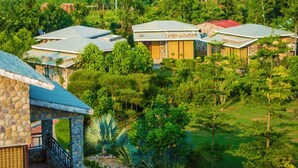 View from property - The Roar Resort (Ramnagar)