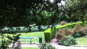 Un parque con un banco, un sendero y abundante vegetación.
