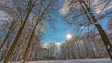 A snow-covered pathway lined with bare trees and a building in the background.