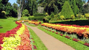 Un jardín con un camino central, rodeado de setos bien cuidados y coloridos macizos de flores.