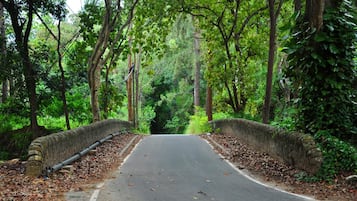 Khuôn viên nơi lưu trú
