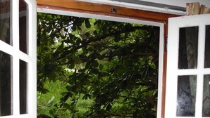Puerta abierta que da a un espacio exterior con césped verde y árboles.
