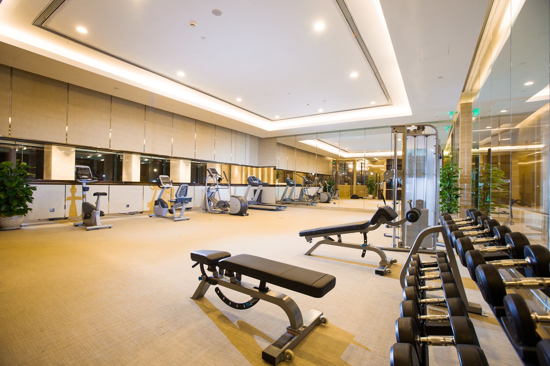 A modern gym with various exercise equipment, including treadmills, elliptical machines, and weight benches.