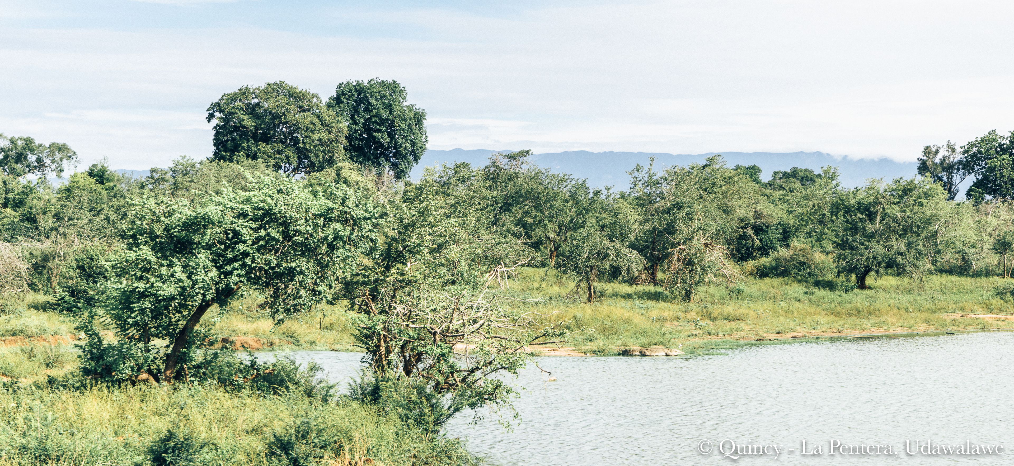A natural landscape with a body of water, trees, and distant mountains.