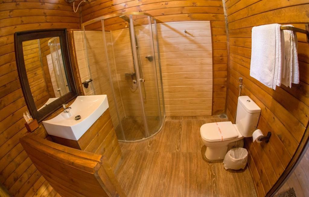 A wooden cabin bathroom with a glass shower enclosure, a white sink, and a toilet.