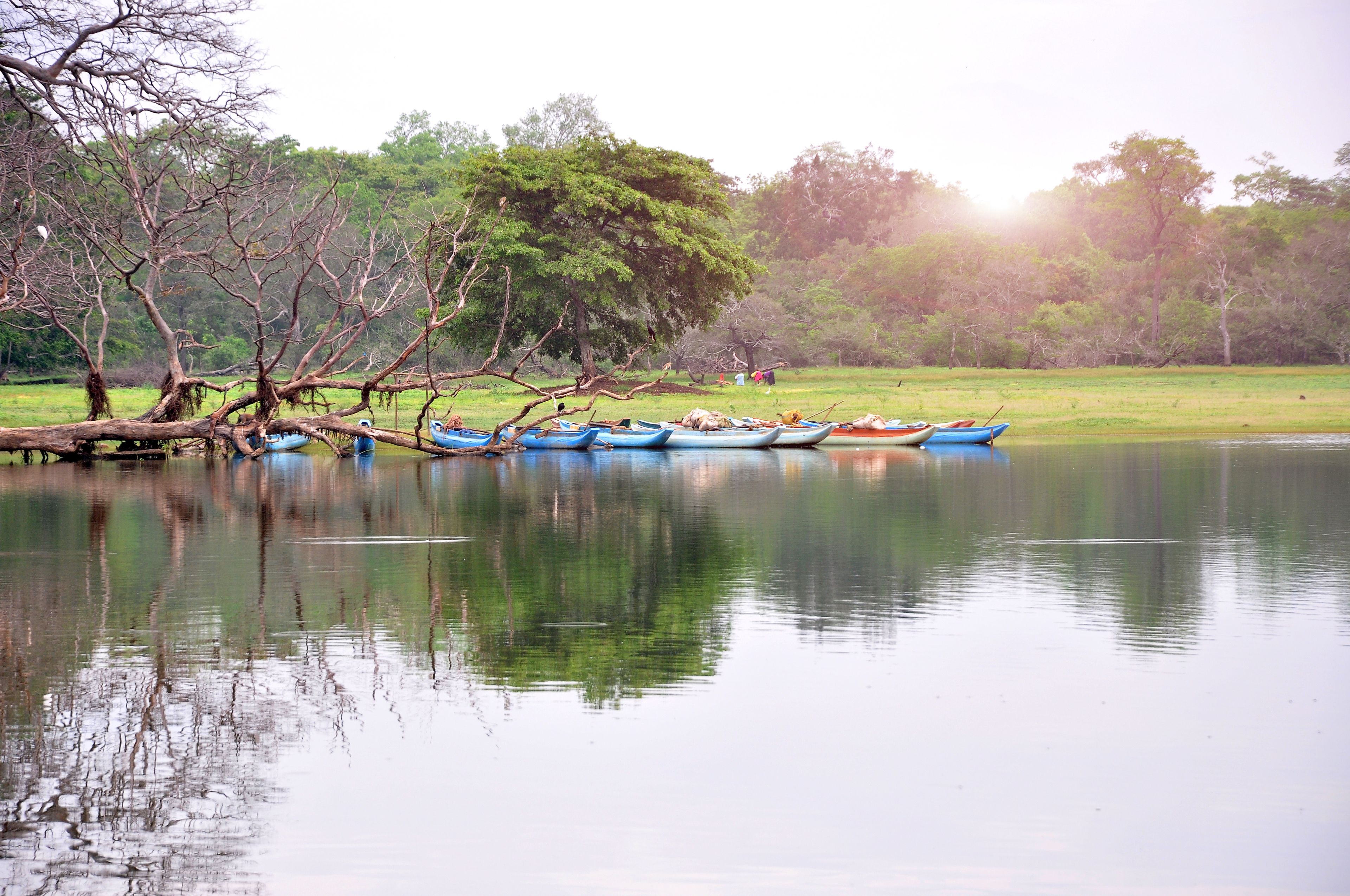 A calm lake with several boats docked along the shore, surrounded by trees and greenery.