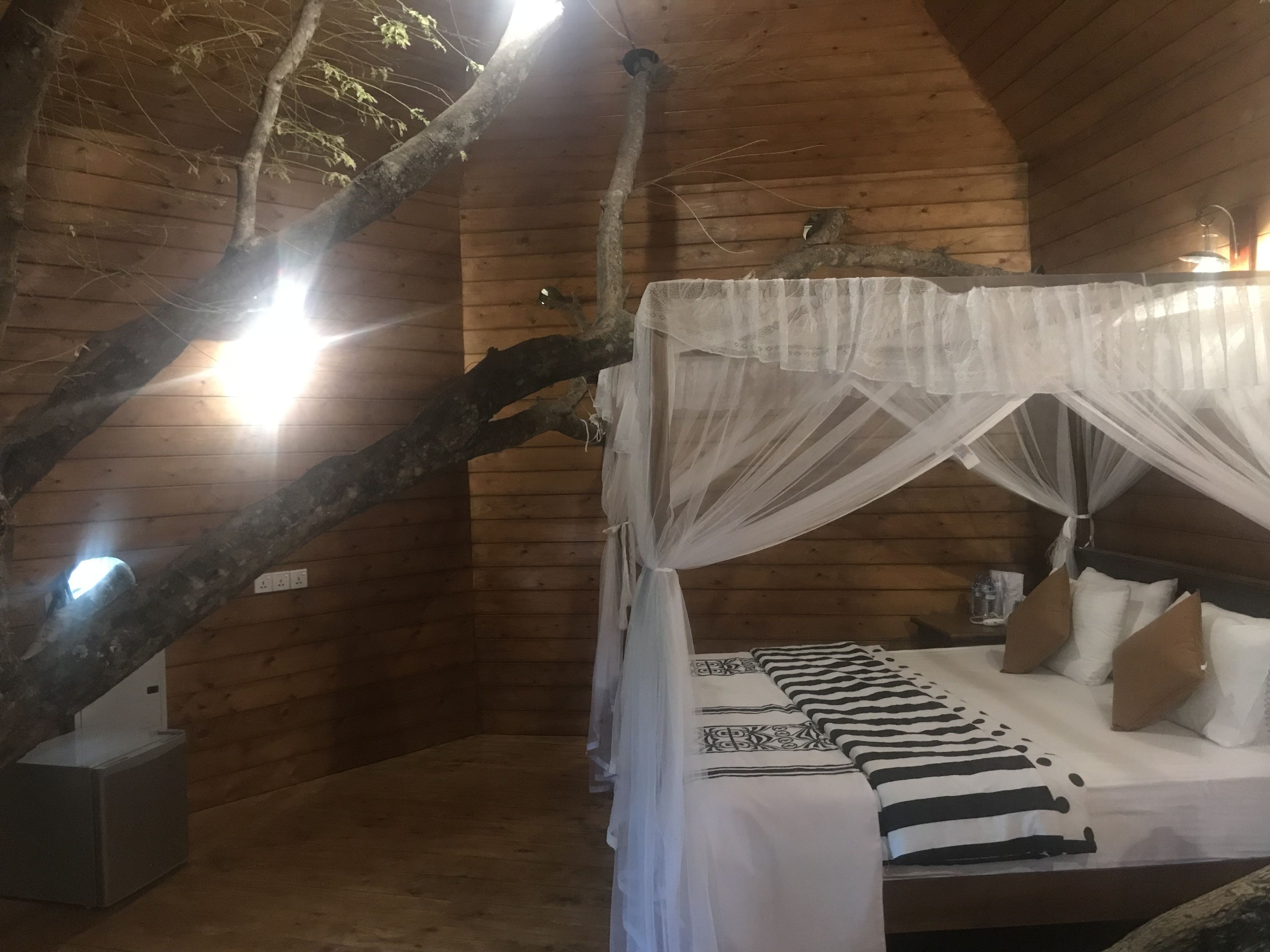 Deluxe Tree House | Desk, iron/ironing board, WiFi (free), bed sheets