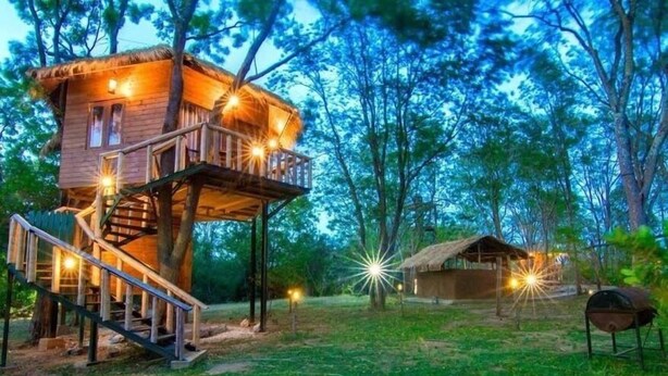 A treehouse with a wooden exterior, a staircase, and a thatched-roof structure nearby. - La Pentera (Thanamalvila)