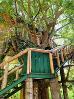 Uma casa na árvore com escada e plataforma de madeira, rodeada por vegetação exuberante.