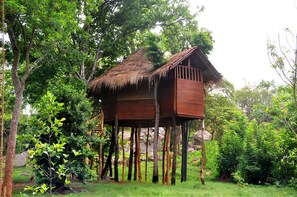 A wooden treehouse with a thatched roof, supported by wooden pillars, surrounded by lush greenery and trees. - La Pentera (Thanamalvila)